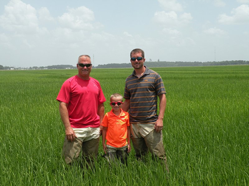 McCrory family receives farming honor The Arkansas DemocratGazette Arkansas' Best News Source