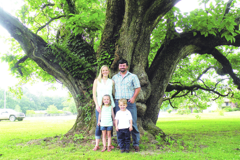 Jamey and Sara Allen of Prattsville are the 2015 Grant County Farm Family of the Year. They are shown here with their children, Kylee Ann, 4, and James Kaden, 3, under an Arkansas Champion northern
catalpa tree on the Allen property.