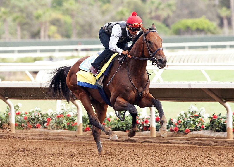 American Pharoah began his historic run to the Triple Crown with a victory at the 2015 Rebel Stakes for 3-year-olds at Oaklawn Park in Hot Springs. The race, along with the Southwest Stakes, will have larger winning purses in 2016.