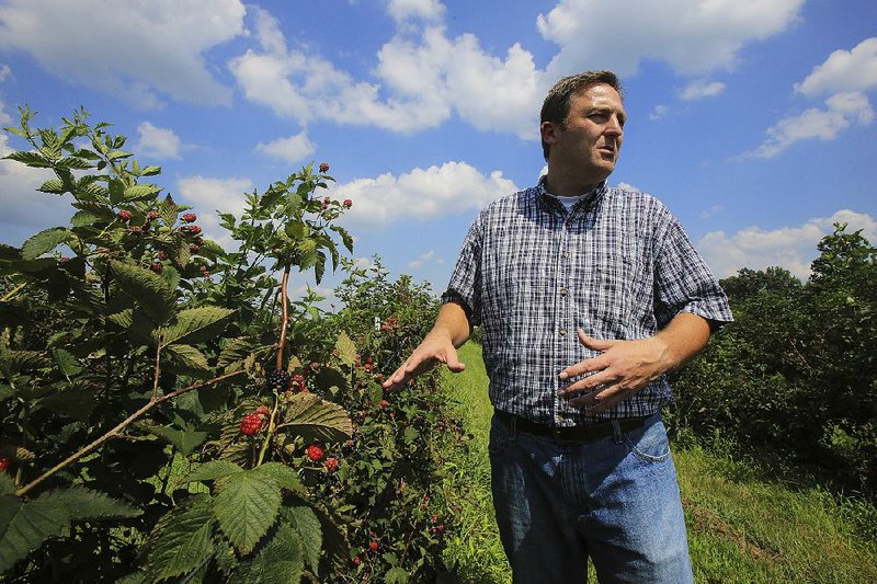 House Speaker Jeremy Gillam says the practical education he gets from growing blackberries on his family farm in Judsonia can be every bit as valuable as what he learned in college. 