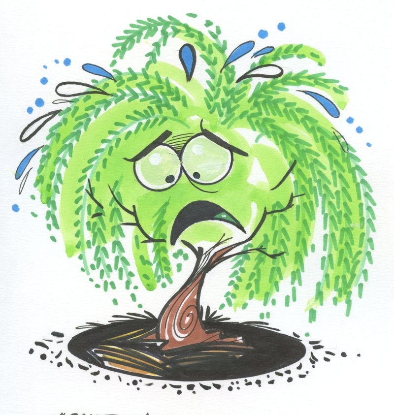 Arkansas Democrat-Gazette weeping willow illustration. 