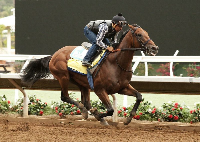 Triple Crown winner American Pharoah and jockey Martin Garcia go through a workout Tuesday at Del Mar Race Track in Del Mar, Calif. It is expected to be American Pharoah’s final significant workout before Sunday’s $1 million Haskell Invitational at Monmouth Park in New Jersey. 