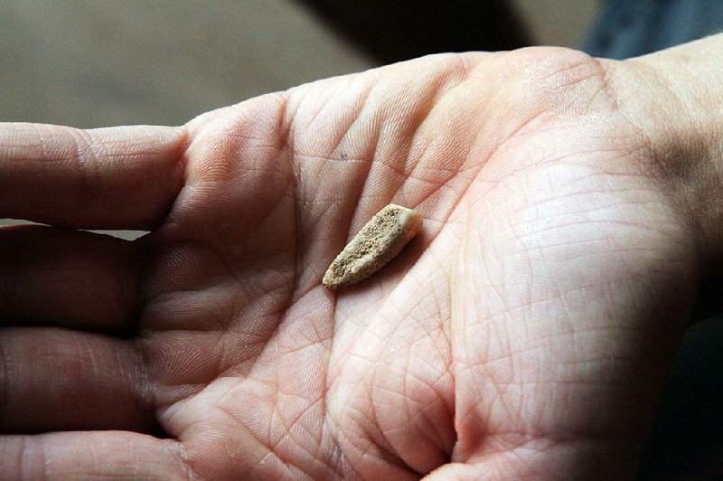 This ancient human tooth was discovered by two young French volunteers at the Tautavel cave in southwestern France. 