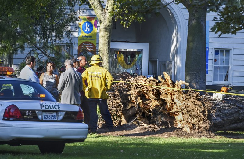 fficials stand by a tree that fell near the Kidspace Children's Museum in Pasadena, Calif., Tuesday, July 28, 2015. Witnesses say the tree made a cracking sound and came down on children just as a summer day camp at the museum was letting out for the day.