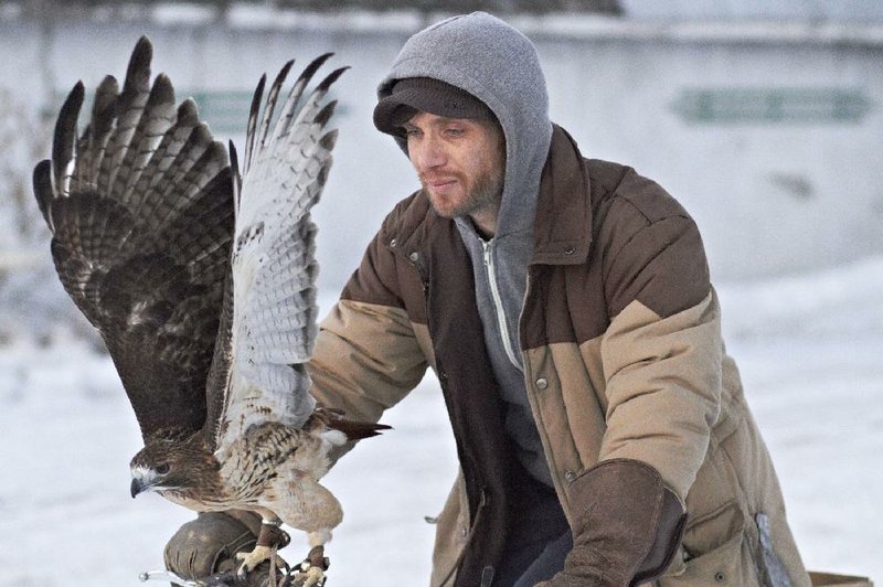 Ivan (Cillian Murphy) is a falconer who tries to reconnect with his long estranged faith healer mother in Claudia Llosa’s "Aloft."