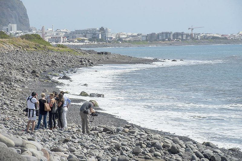 Workers responsible for keeping paths to a Reunion Island beach from being overgrown by shrubs search the beach Sunday for possible debris from Malaysia Airlines Flight 370 near the shore where a piece of airplane wing washed up Wednesday.
