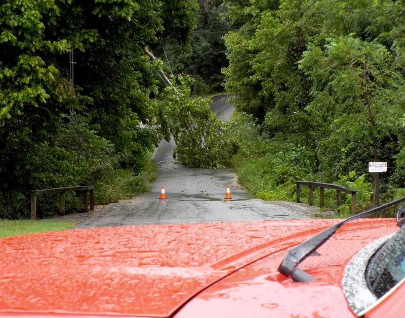 A fallen tree limb brought down power and  telephone lines on Brooke Lynn Drive Wednesday morning, knocking out power to restaurants and businesses on the east side of the railroad tracks in Gentry.