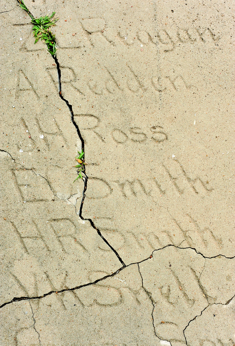 Grass grows through cracks in the hand-inscribed 1907 section of the Senior Walk at the University of Arkansas at Fayetteville. UA officials plan to replace portions for the years 1876-1924. story.lead_photo.caption