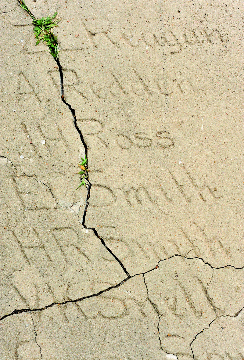 Grass grows through cracks in the hand-inscribed 1907 section of the Senior Walk at the University of Arkansas at Fayetteville. UA officials plan to replace portions for the years 1876-1924.