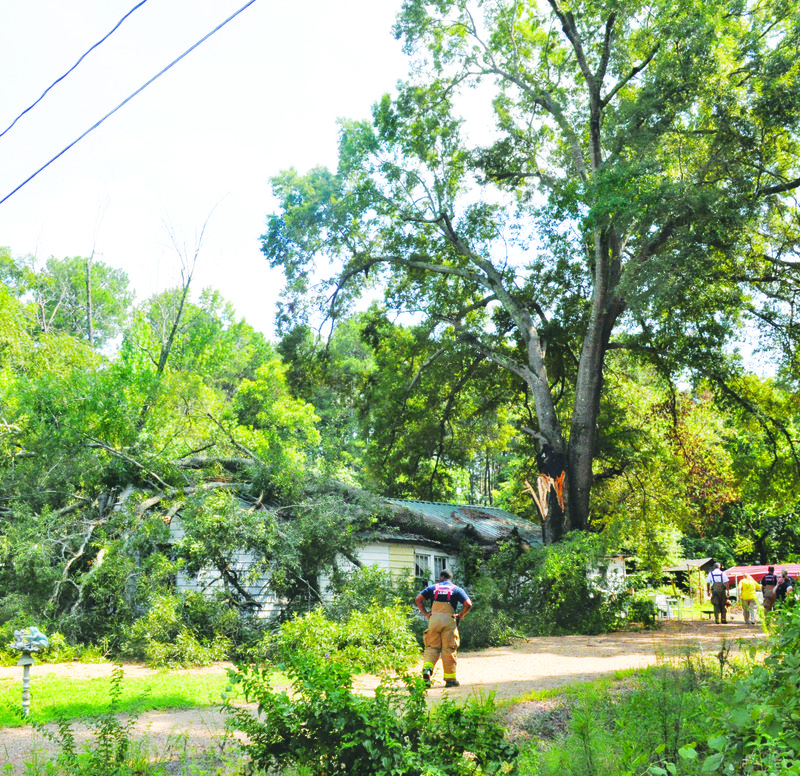 Tree falls on home