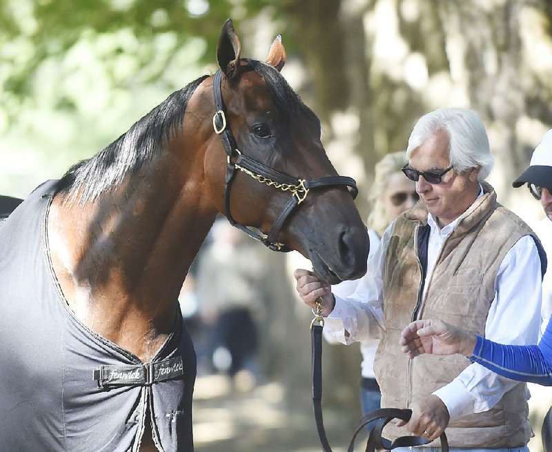 Trainer Bob Baffert puts Triple Crown winner American Pharoah on display after a light workout Friday at Saratoga Race Course in Saratoga Springs, N.Y., where American Pharoah is the overwhelming 1-5 favorite in a 10-horse field for today’s Travers Stakes.