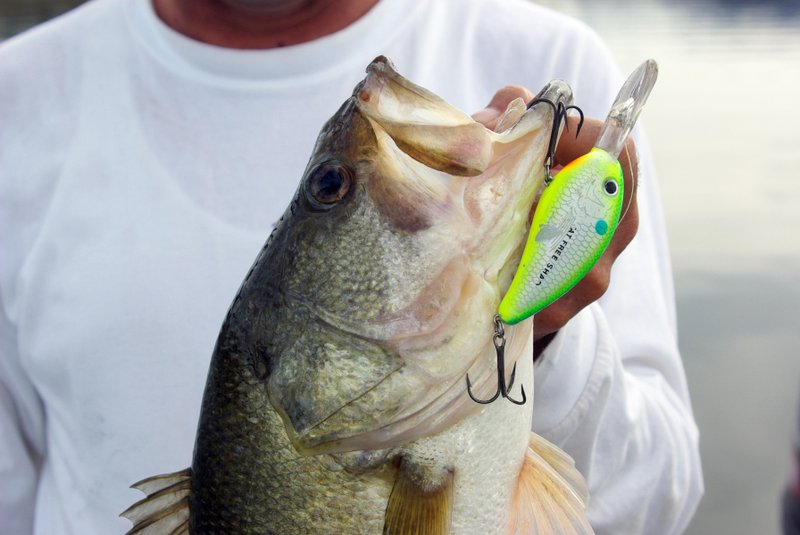 Here are some tips for picking the right fishing lures  The Arkansas  Democrat-Gazette - Arkansas' Best News Source