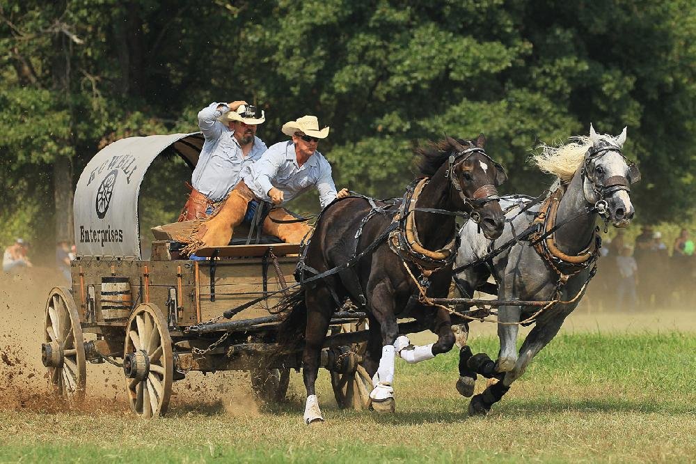 Chuckwagon Races