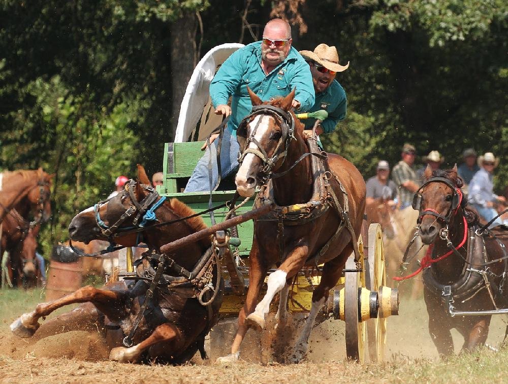 Chuckwagon Races