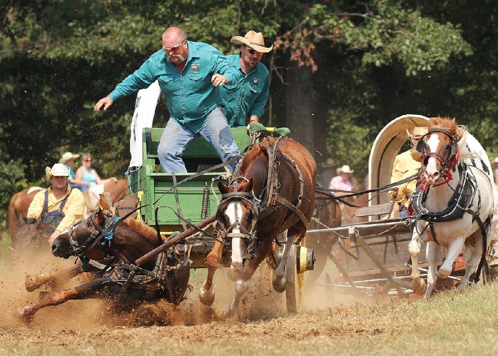 Chuckwagon Races