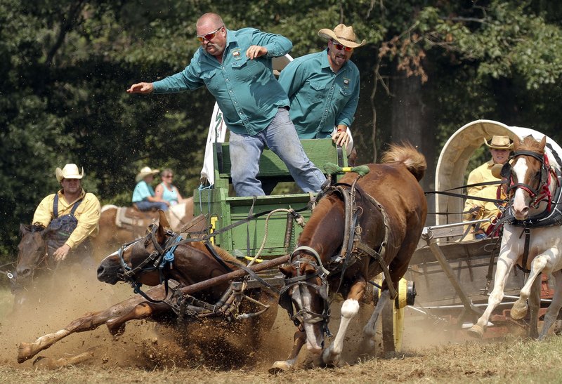 Arkansas Democrat-Gazette/BENJAMIN KRAIN Chuckwagon driver Allen Fuller with the team County Line Bunch from Perry leaps from his wagon Friday as it tips on a sharp turn during the 30th Annual National Championship Chuckwagon Race being in Clinton. The event continues through Sunday. There were no injuries in the accident.