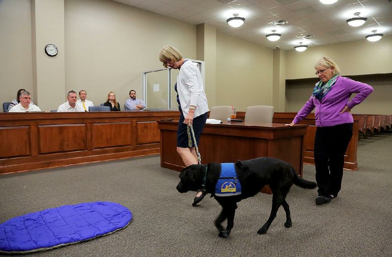 Faulkner County Courthouse workers and law enforcement officers sit in a jury box Wednesday as they watch Ellen O’Neill-Stephens (center) and Celeste Walsen lead Molly, a “facility dog,” at the Faulkner County Criminal Justice Center in Conway. 