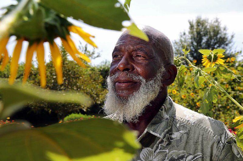 The artist Alonzo Ford, standing amid the sunflowers in the garden at his Southland home, will be featured in an exhibit at the Arkansas Arts Center. “A Little Poetry: The Art of Alonzo Ford” opens Tuesday. 