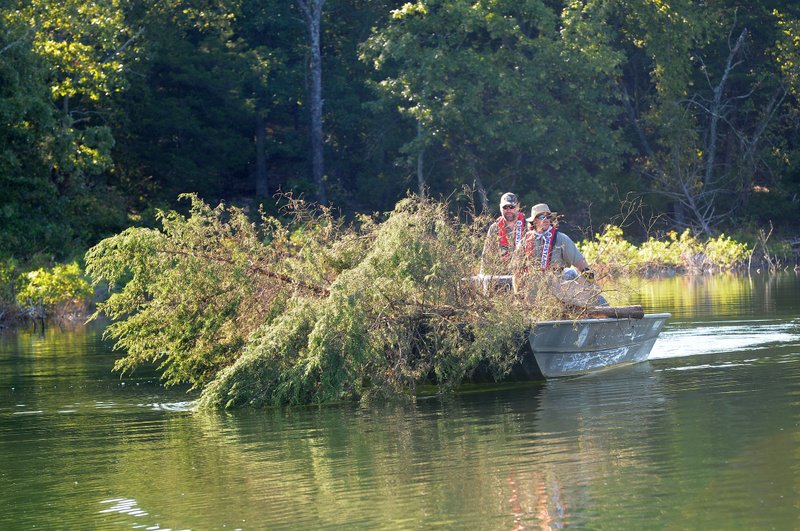 Jon Stein (left) and Kevin Hopkins, fisheries biologists with the Arkansas Game and Fish Commission, transport cedar trees to a point on Beaver Lake for sinking. The project improves the forest on islands at the reservoir and creates excellent fish habitat.