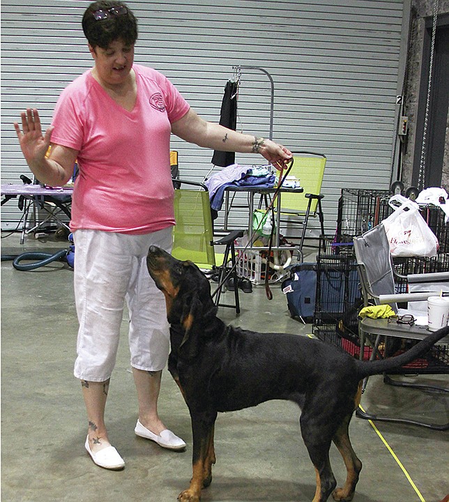 The Sentinel-Record/Elisha Morrison PUPPY LOVE: RayAnn Reynolds, of Pearcy, interacts with her champion black-and-tan coonhound, Brooke, during the Hot Springs National Park Kennel Club dog show at the Hot Springs Convention Center on Saturday. Reynolds has trained and bred coonhounds for 10 years.