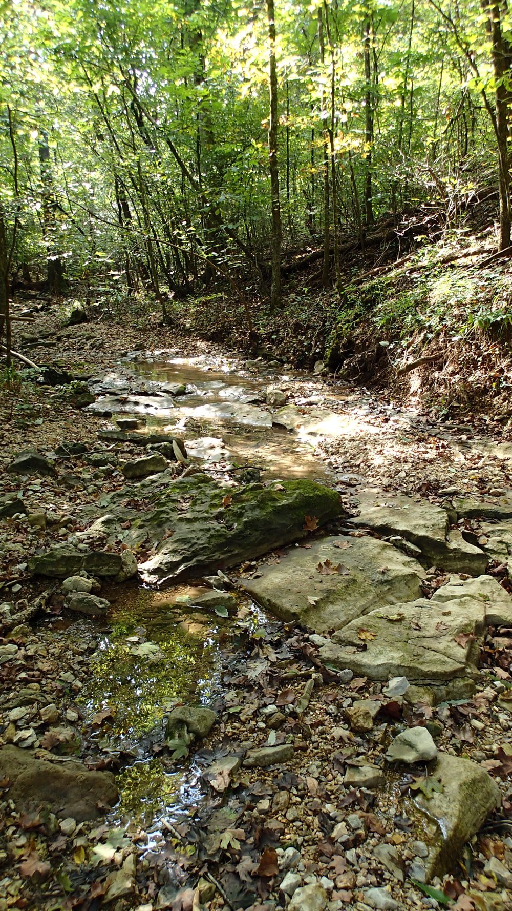 specialized slaughter grid trail