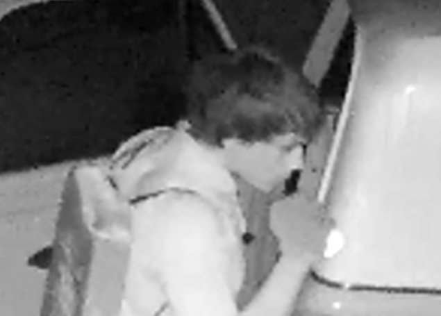 Authorities are trying to identify the suspect in a series of car break-ins captured on this surveillance image.