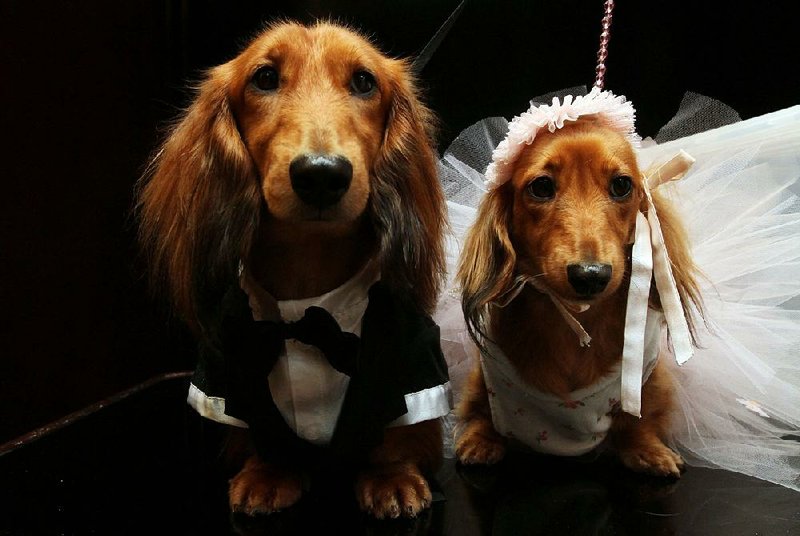 Clifford and Dee Dee were all dressed up for their wedding in Eureka Springs when the messy technicality of Arkansas marriage law reared its head.
