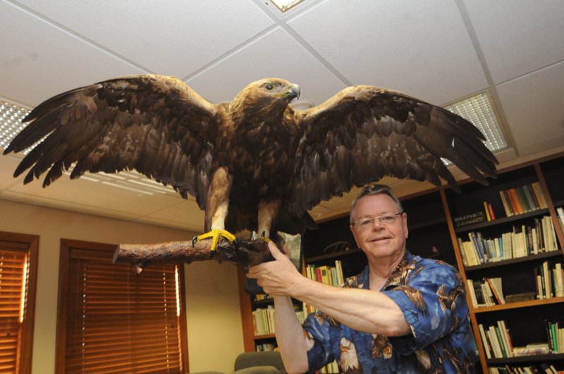 Ron Haymon shows the mount of a golden eagle he donated to Hobbs State Park-Conservation Area. Haymon donated it to the park because he and his wife, Sheila, are moving from the Prairie Creek community to a smaller home out of state.