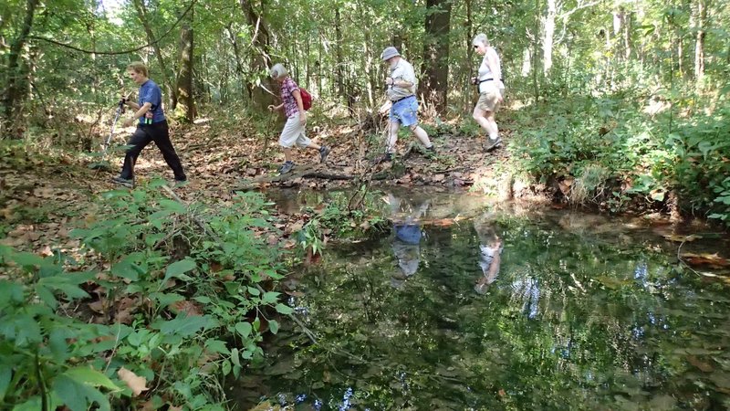 NWA Democrat-Gazette/FLIP PUTTHOFF Hill &#8216;N Dale Hikers tried to reach the Lost Ridge Trail twice before Sept. 16 but couldn&#8217;t because of high water in Leatherwood Creek that prevented stream crossings. Third time was a charm with the stream bed nearly dry.