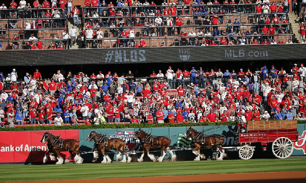 Anheuser-Busch Clydesdales, St. Louis Cardinals Opening Day 2015 