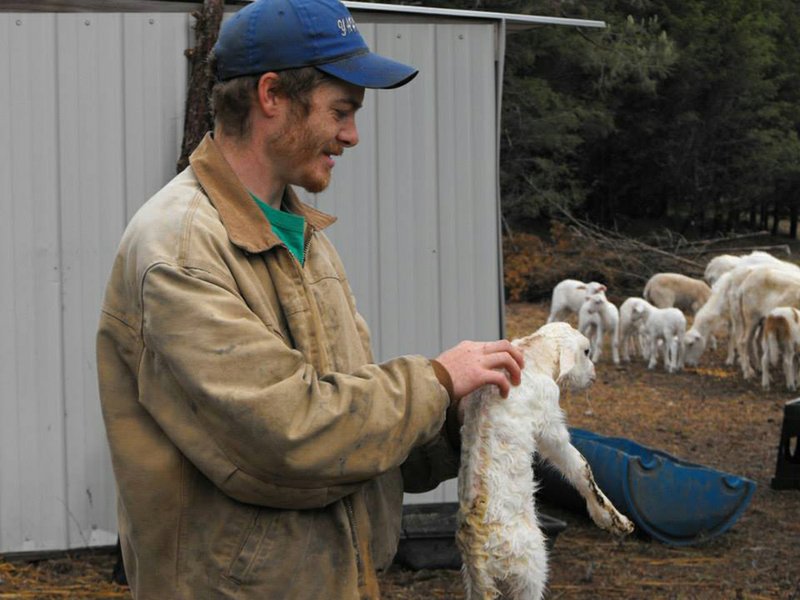 Chad Lepley observes a newborn dairy lamb to ensure its health and admire its brown coloring, the farm’s first with such color. Lepley owns Yahuah’s Farm near Bald Knob.