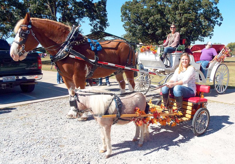 Visitors to the Gentry Chamber of Commerce and Gentry United Way fall festival on Saturday had opportunity to take a carriage ride in two sizes, a full-size carriage driven by Lori Whillock or a much smaller version driven by Jessica Ray. Both are a part of Executive Carriages, LLC.
