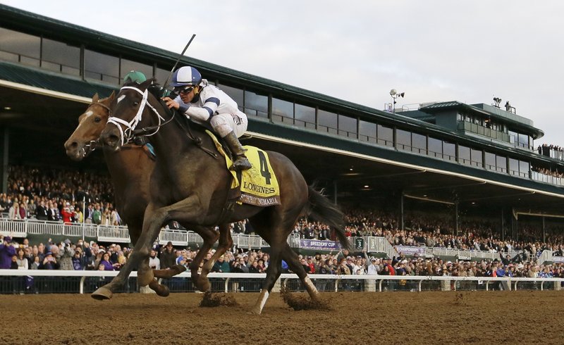 Stopchargingmaria (4), with Javier Castellano up, edges out Stellar Wind, with Victor Espinoza up, to win the Breeders' Cup Distaff horse race at Keeneland race track Friday, Oct. 30, 2015, in Lexington, Ky.