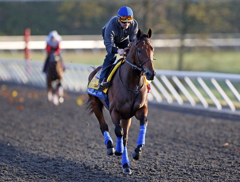 Triple Crown winner American Pharoah is ridden by exercise rider Jorge Alvarez during a workout for the Breeders' Cup horse race at Keeneland race track Thursday, Oct. 29, 2015, in Lexington, Ky.