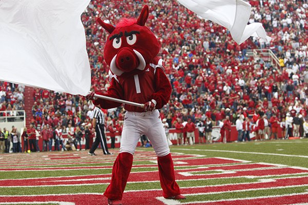 Arkansas mascot Big Red waves a flag on the field during a game against Texas Tech on Saturday, Sept. 19, 2015, at Razorback Stadium in Fayetteville. 