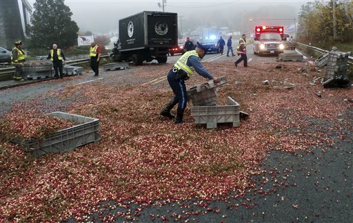 In this photo released by the Bourne Police Department, police and fire officials work to gather cranberries after a head-on crash involving a truck carrying cranberries and another vehicle shut down Route 6 to Cape Cod over the Sagamore Bridge on Friday, Nov. 6, 2015, in Sagamore, Mass.
