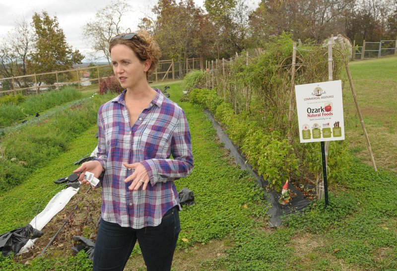 Mary Thompson, co-executive director of Apple Seeds speaks Thursday at the nonprofit group’s teaching farm in Fayetteville. The organization won City Council approval last month for a lease for 2 acres of land in Gulley Park adjacent to a house it had purchased to establish a similar operation. For more photos, go to www.nwadg.com/photos.