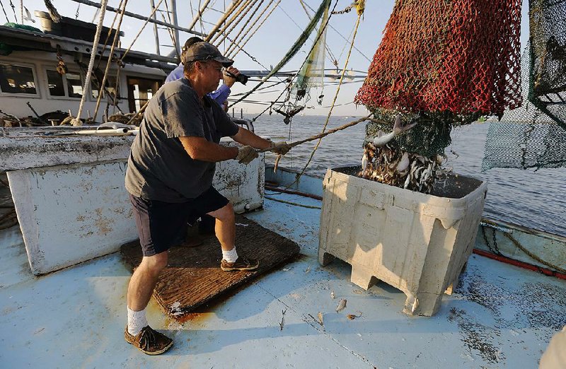 Dwayne Harrison releases a catch from his nets into a container on his boat while shrimping in the Houston Ship Channel near Baytown, Texas.
