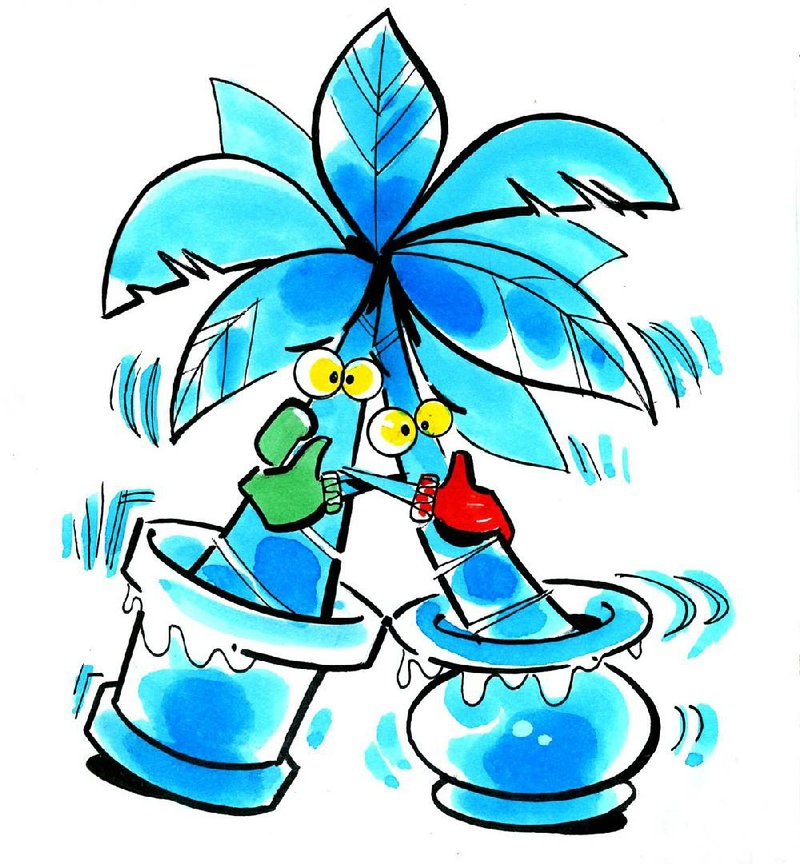 Arkansas Democrat-Gazette illustration of Cold Palm Trees