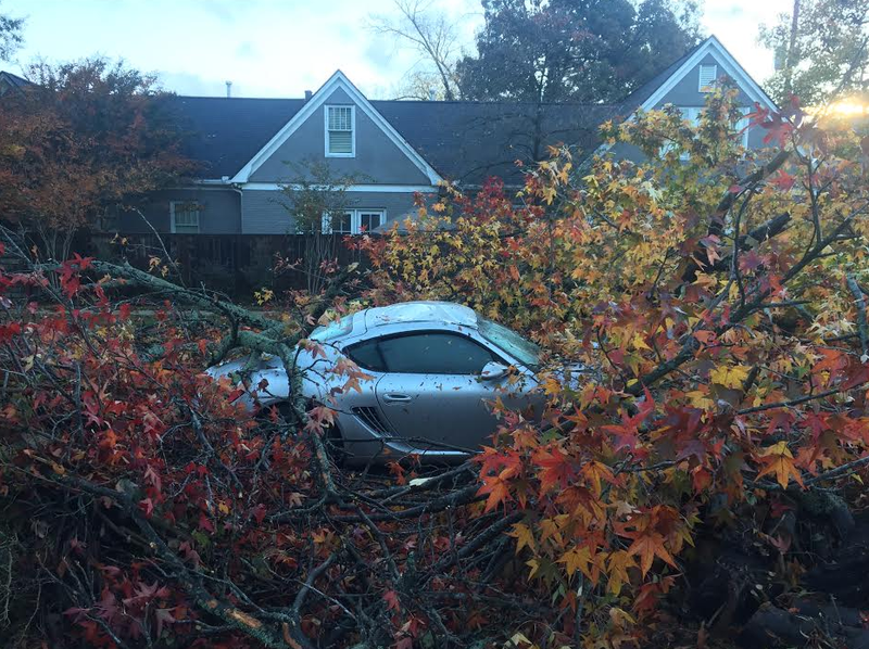 A tree fell on Van Buren Street near Club Road in Little Rock's Heights neighborhood, damaging a Porsche that was parked on the street.