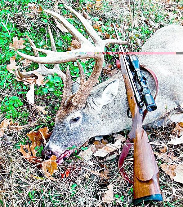 Photo submitted The opening weekend of Missouri&#8217;s modern-gun deer season saw a dramatic increase in the number of animals harvested.