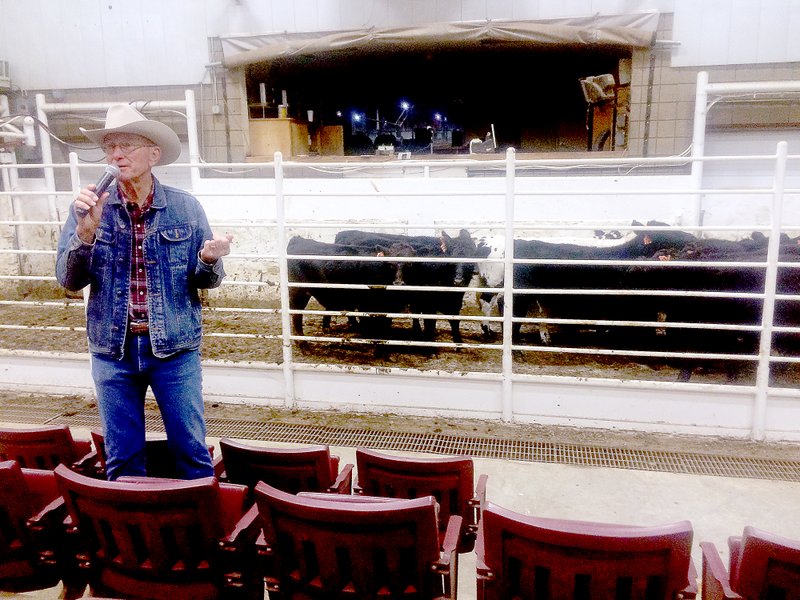 Photo submitted Eldon Cole, livestock specialist with University of Missouri Extension, discusses a pen of steers entered in the 2015-16 Missouri Steer Feedout program on Nov. 5 at Joplin Regional Stockyards.