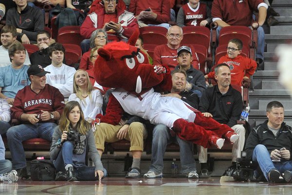 Big Red, Arkansas' mascot, lays on top of fans during the Razorbacks' game against Akron on Wednesday, Nov. 18, 2015, at Bud Walton Arena.