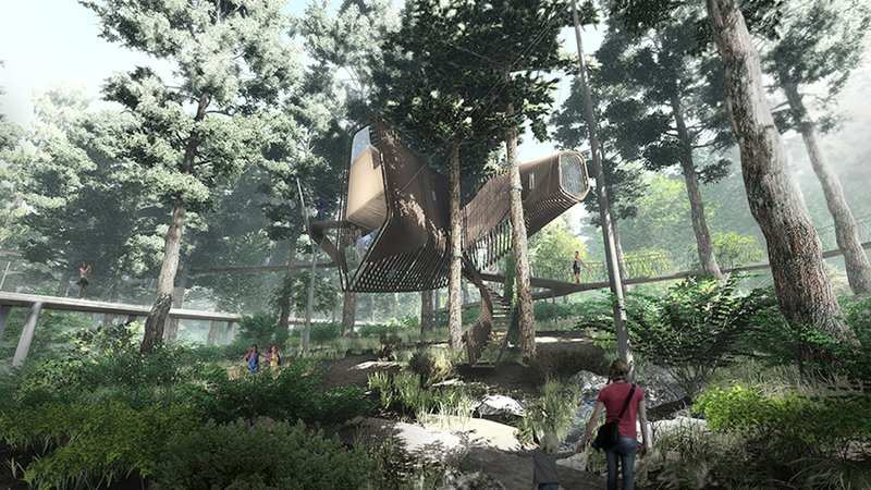 A planned treehouse at Garvan Woodland Gardens in Hot Springs, visualized in this rending, would allow up to 40  visitors inside at a time to explore dendrology, or the study of trees, in a natural environment.