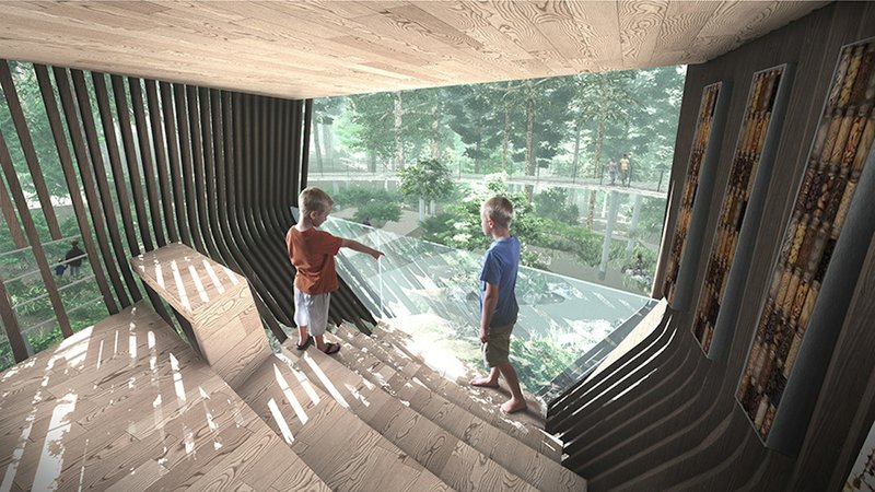 The interior of a planned treehouse at the Evans Children's Adventure Garden at Garvan Woodland Gardens in Hot Springs is seen in this rendering provided by architectural firm Modus Studio of Fayetteville.