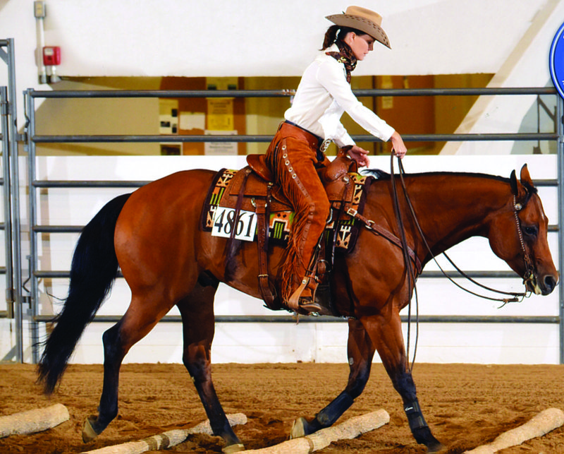 Jenny Wilkinson Honey of Greenbrier rides her horse Suddenly Out of the Blue at the All American Quarter Horse Congress in Columbus, Ohio, where Honey won top awards.