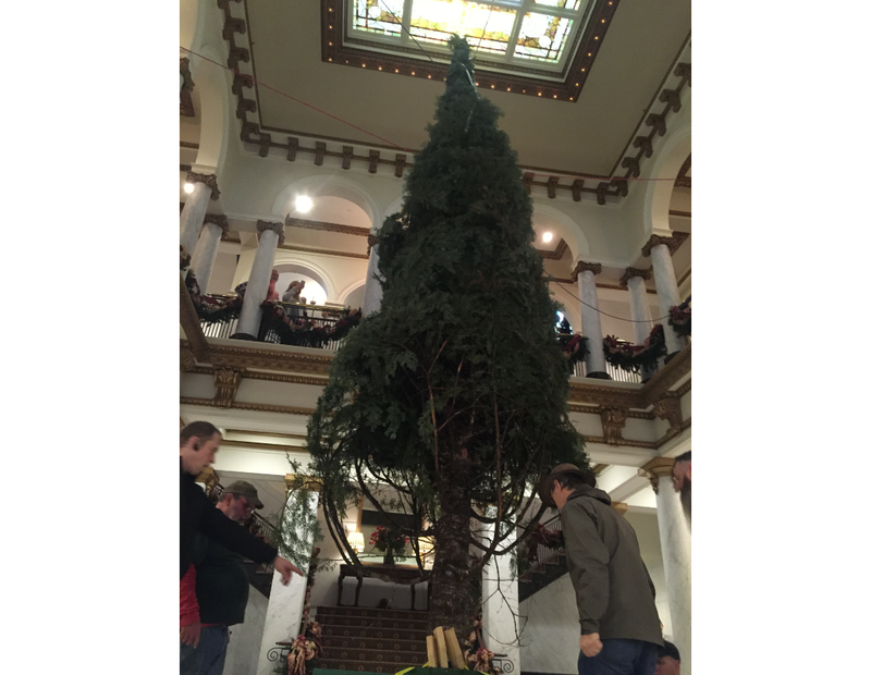 The Capital Hotel Christmas tree is believed to be the tallest in the state.