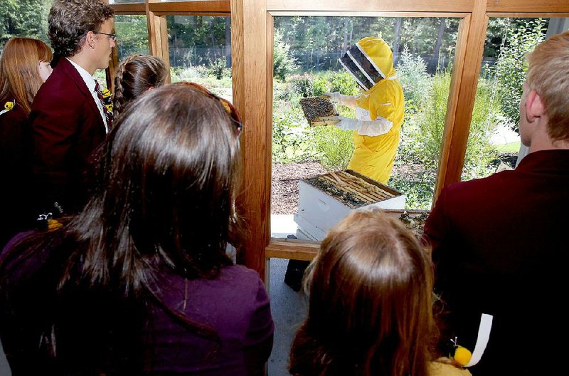 Sarah Myers, background, a manager at the Bayer North American Bee Care Center, prepares to show a tray of bees to St. Thomas More Academy students during the students’ tour of the center in Research Triangle Park, N.C., earlier this year.
