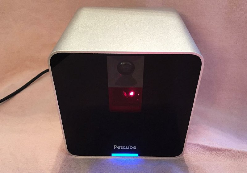 The Petcube (petcube.com) allows pet owners to view their pets through a security camera, and play with them via a laser controlled through a smartphone app.
