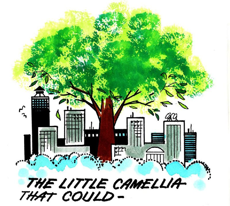 Arkansas Democrat-Gazette Camellia tree illustration.